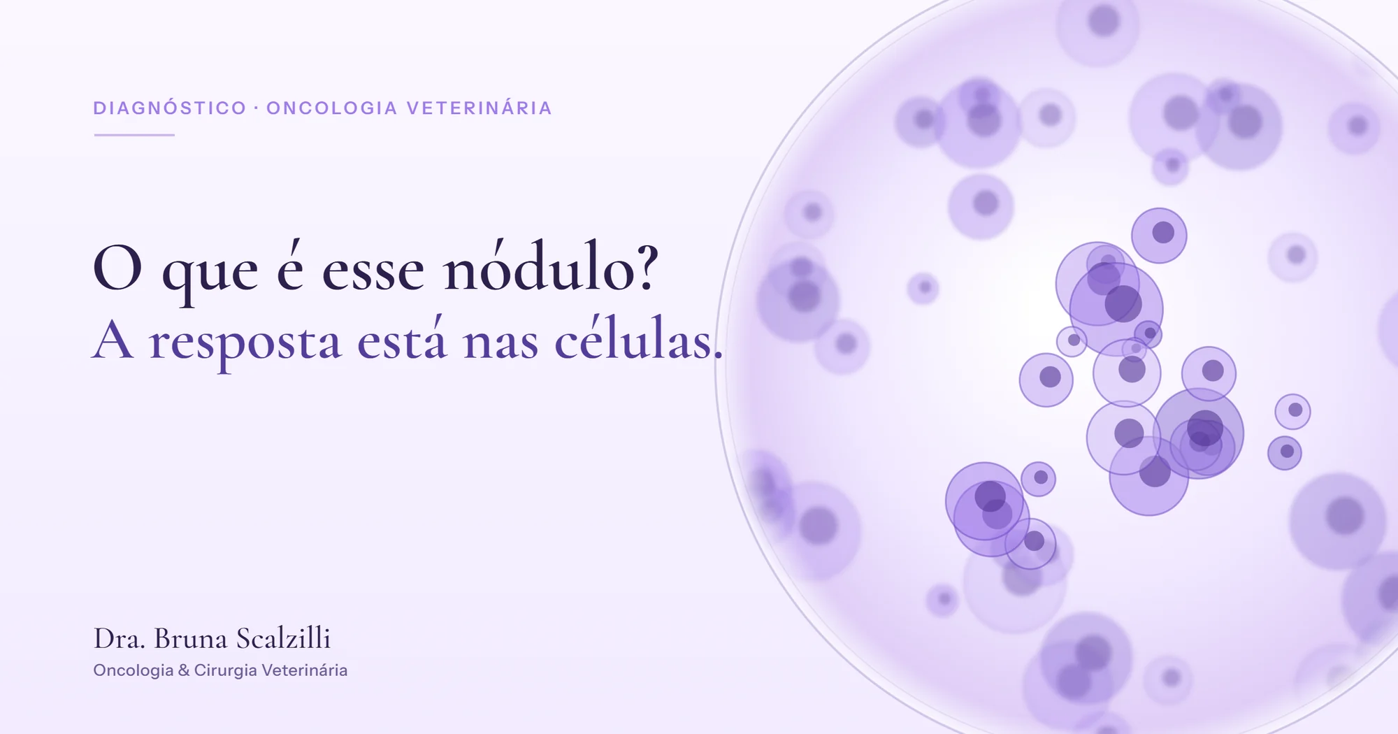 Células roxas dispostas como numa lâmina de citologia, ilustrando a análise que identifica o tipo do tumor