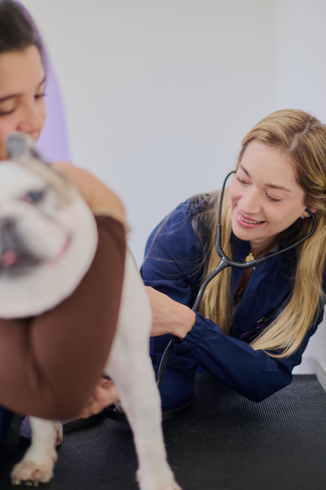 Dra. Bruna Scalzilli, médica veterinária especialista em oncologia